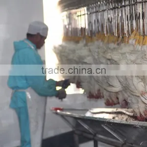 Poultry Processing Up to 8,000bph 008618052092685 thumbnail-4