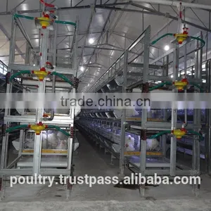 Poultry Cages thumbnail-1