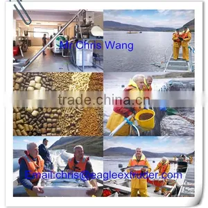 Fish Feed Extruder thumbnail-1