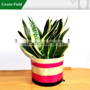 Green Field Canvas Flower Planter,Kitchen Garden Canvas Flower Planter thumbnail-1