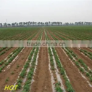 High Quality! Agricultural Mulch Film/PE Mulch Film/ PE Agriculture Film thumbnail-5