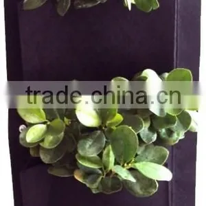 2 Puches Hanging Wall Fabric Pot Container Vertical Garden thumbnail-3