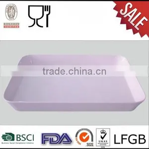 Square Animal Melamine Plate/Melamine Serving Tray thumbnail-2