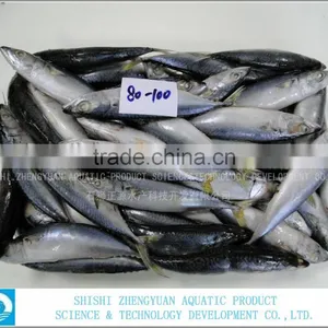 Frozen Fish Can Caning Frozen Mackerel thumbnail-1