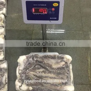 10kg Frozen Giant Peru Squid Supplier thumbnail-1