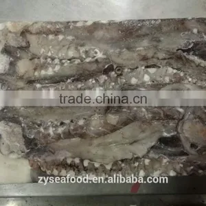 Whole Giant Loligo Peru Squid for Canning thumbnail-3