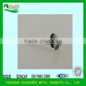 Common Nails/Concrete Steel Nail/Roofing Nail China Manufacturer thumbnail-1