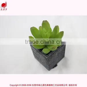 Wholesale Artificial Min Succulents Potted Garden Arrangement Cheap Mini Plant thumbnail-2