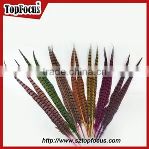 50-55 CM Natural Bulk Ringneck Tail Pheasant Feathers for Wedding Decoration thumbnail-1