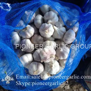 New Crop 5.5cm Normal White Fresh Garlic In 10 kg Mesh Bag Packing thumbnail-3