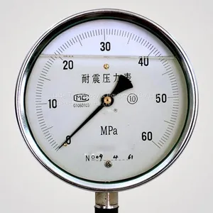 LF-60, LF-100,LF-150 Liquid Filled Pressure Gauge thumbnail-1
