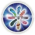 Beach Slippers thumbnail-1