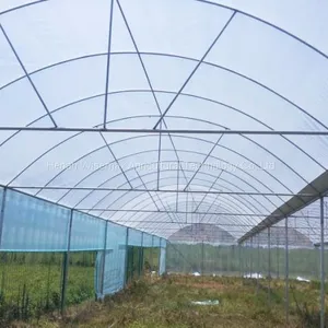 Agriculture Tomato Vegetable Double Plastic Film Inflatable Greenhouse thumbnail-4