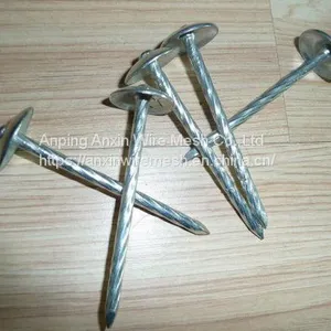 Galvanized Umbrella Head Roofing Nails 9gauge 2.5'' thumbnail-4