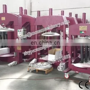 Ice Grape Juice Machine/ice Wine Press thumbnail-5