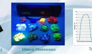 Hebei Niusida International Trading Co.,Ltd company overview - view 2 thumbnail
