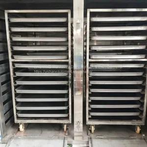 CT-C Series Hot Air Circulation Oven thumbnail-1
