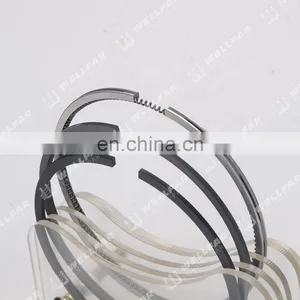 1.9L Diesel F8Q Clio R19 Npr Piston Rings for Renault Machinery Engine Auto Part thumbnail-2