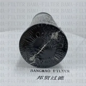 BANGMAO Replacement High Quality Hydraulic Oil Filter Element N100911 thumbnail-1