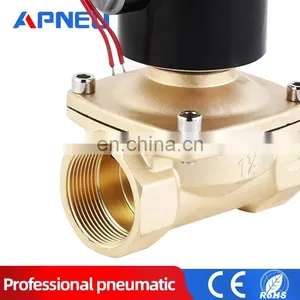 Valves Water Solenoid Valve for Water Pneumatic Valve 220V 12V DN08 DN10 DN15 DN20 DN25 1/4