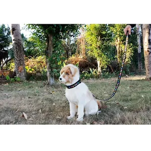 Strong Dog Leash/ Nylon Adjustable Dog Leash/ Custom Dog Leash thumbnail-4