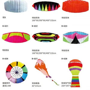 OEM All Shapes, Design and Kinds of Kites for Advertising and Activities Occasions thumbnail-4