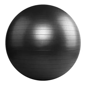 Eco-friendly PVC Anti Burst Heavy Duty Stability Fitness Exercise Yoga Gym Ball With Pump thumbnail-1