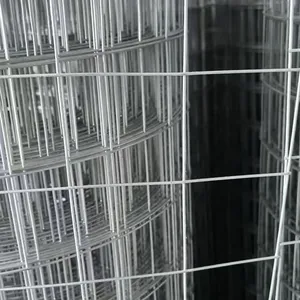 Hot Dipped Galvanized Welded Wire Mesh Rolls for Construction and Fencing thumbnail-1