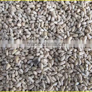 Industrial Cotton Seed Separating Machine|Cotton Seed Delinting Machine|Cotton Processing Machine Price thumbnail-4