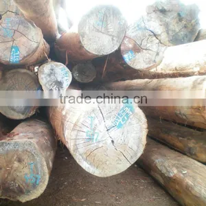Big Sale High Quality Round Logs Kerung Laos Wood thumbnail-2