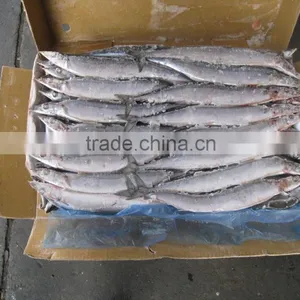 Frozen Fish Pacific Saury Whole Round thumbnail-1