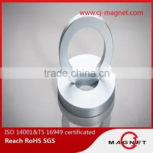 N50 Ring Neodymium Magnet for Speaker thumbnail-3