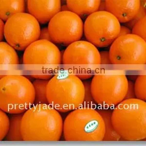 Baby Mandarin Orange thumbnail-1