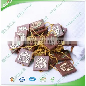 Professional Custom High Quality Garment Brand Plastic Seal Tags for Clothing thumbnail-1