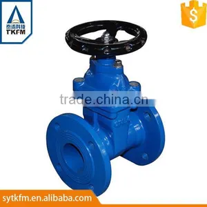 TKFM Water Supply 304 Stainless Steel Flange Gate Valve Pn16 thumbnail-2