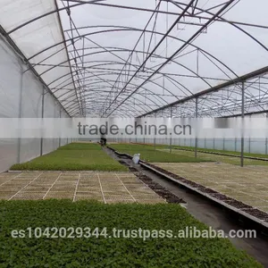 Seedling Planting Machine and Plant Nursery for Hydroponic Systems thumbnail-2