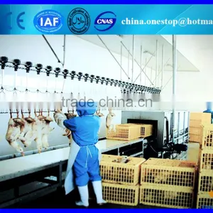 Poultry Slaughtering Equipment in Slaughtering Equipment/Poultry Slaughter thumbnail-4
