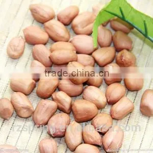 Chinese Good Quality Round Shape Peanut Kernels/groundnut Kernels thumbnail-1