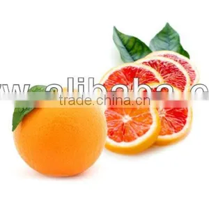 Blood Orange thumbnail-1