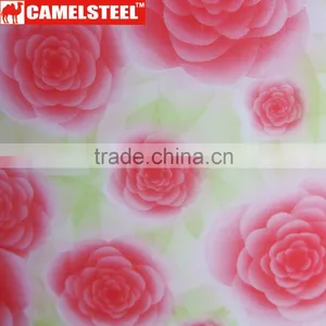 Customized Design Camelsteel Decorative Steel Coil thumbnail-3