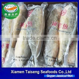 Frozen Yellow Croaker Export to USA thumbnail-6