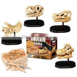 Mini Dinosaur Skull Dig Kit, 4 Assorted thumbnail-1