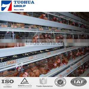 5 Doors Design Layer Chicken Cages thumbnail-3