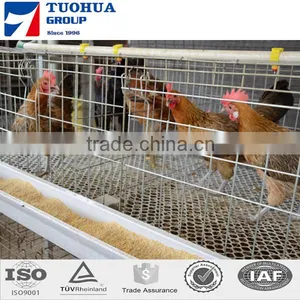 5 Doors Design Layer Chicken Cages thumbnail-2