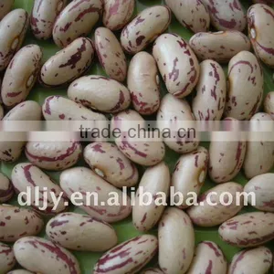 Long Shape Light Speckled Kidney Bean thumbnail-1
