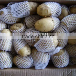 2011 Shouguang Fresh Natural Holland Potato thumbnail-1