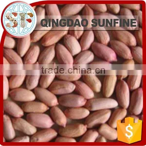 Salted Raw Peanuts Kernel thumbnail-5