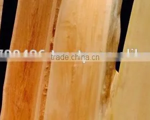 Original and High Quality Horse Chestnut for Wooden Furniture Use , Various Types of Furnitures Also Available thumbnail-3