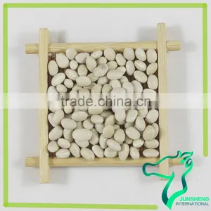 Navy Bean Small White Kidney Beans Haricot Beans thumbnail-4