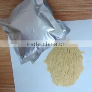 Hydrolyzed Lecithin Powder thumbnail-1